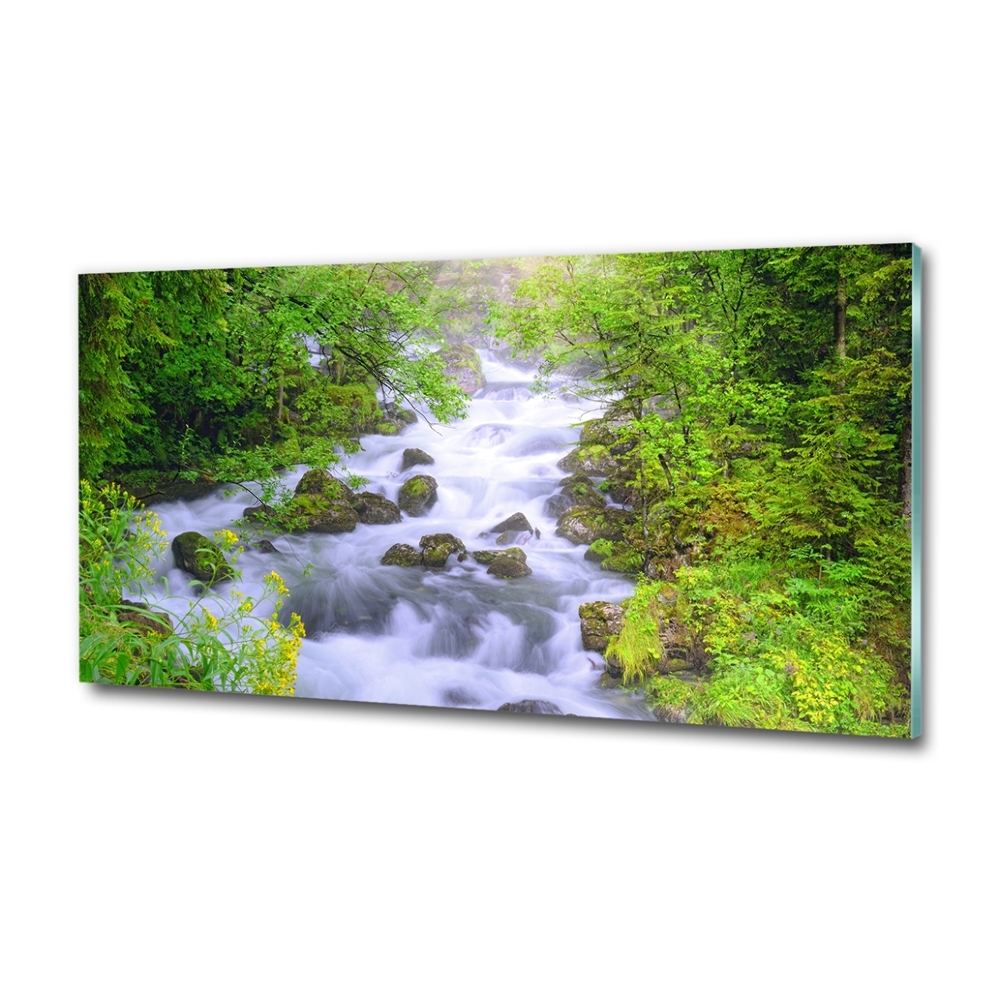 Foto obraz szkło hartowane Górska rzeka