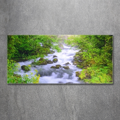 Foto obraz szkło hartowane Górska rzeka