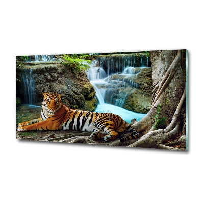 Fotoobraz na ścianę szklany Tygrys wodospad
