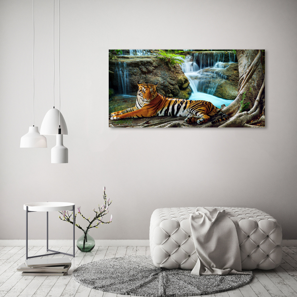 Fotoobraz na ścianę szklany Tygrys wodospad