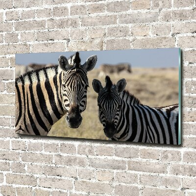Foto-obraz szkło hartowane Dwie zebry