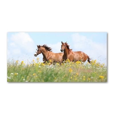 Foto-obraz szklany Dwa konie w galopie