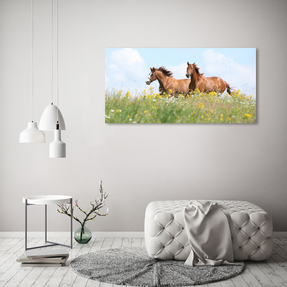 Foto-obraz szklany Dwa konie w galopie