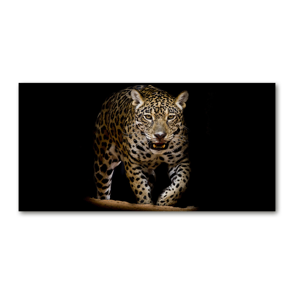 Foto-obraz zdjęcie szkło hartowane Jaguar