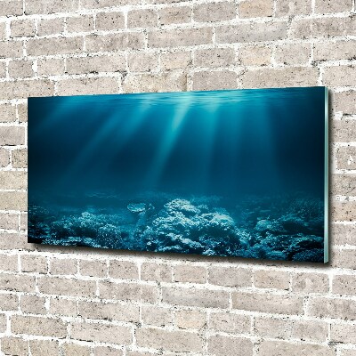 Foto obraz szkło hartowane Podwodny świat
