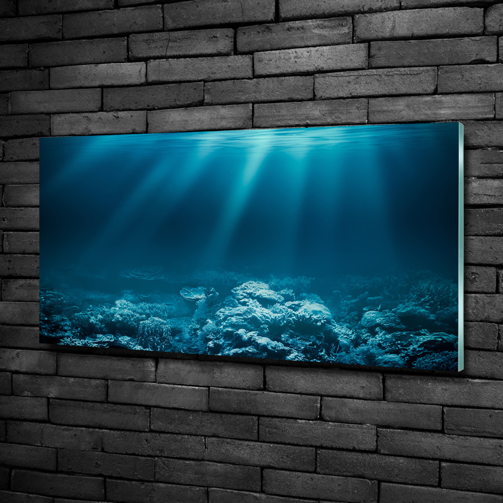 Foto obraz szkło hartowane Podwodny świat