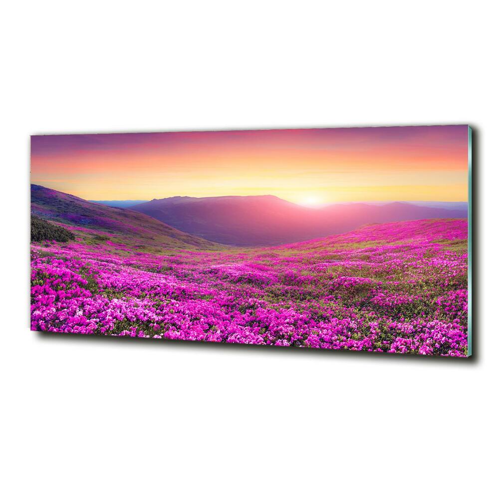 Foto obraz szkło hartowane Różowe wzgórza