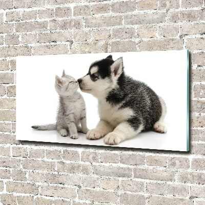 Foto-obraz szkło hartowane Pies i kot