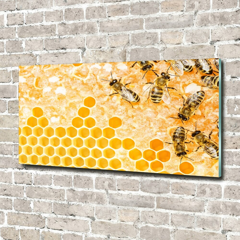 Foto-obraz szklany Pracujące pszczoły