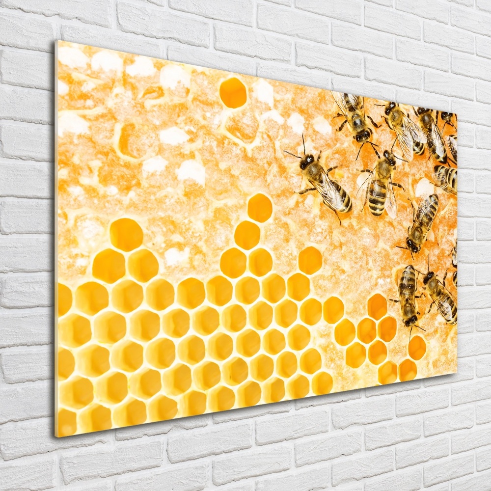 Foto-obraz szklany Pracujące pszczoły