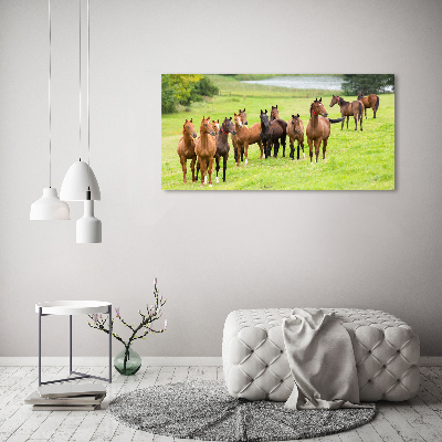 Foto-obraz szklany Stado koni na łące
