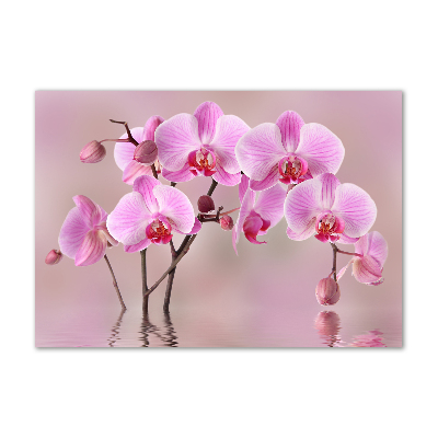 Fotoobraz na ścianę szklany Różowa orchidea