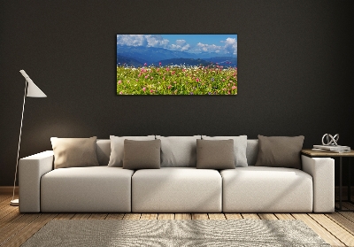 Foto obraz szkło hartowane Łąka w górach