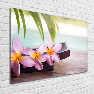 Foto obraz szkło hartowane Plumeria