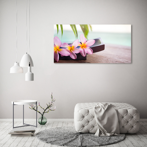 Foto obraz szkło hartowane Plumeria