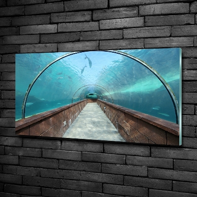 Foto obraz szkło hartowane Tunel akwarium