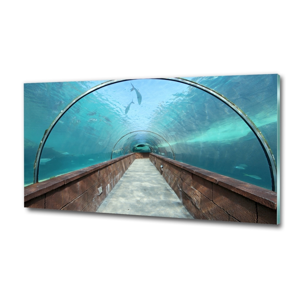 Foto obraz szkło hartowane Tunel akwarium