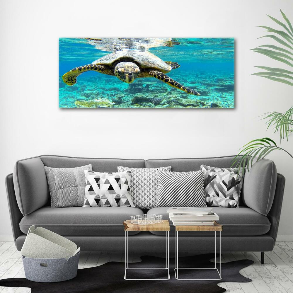 Foto-obraz szkło hartowane Żółw morski