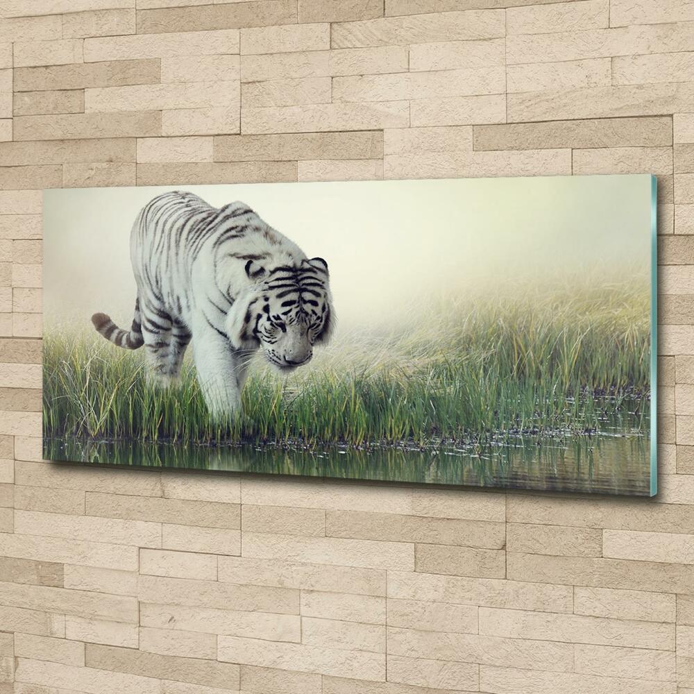 Foto-obraz szkło hartowane Biały tygrys