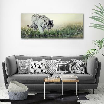 Foto-obraz szkło hartowane Biały tygrys