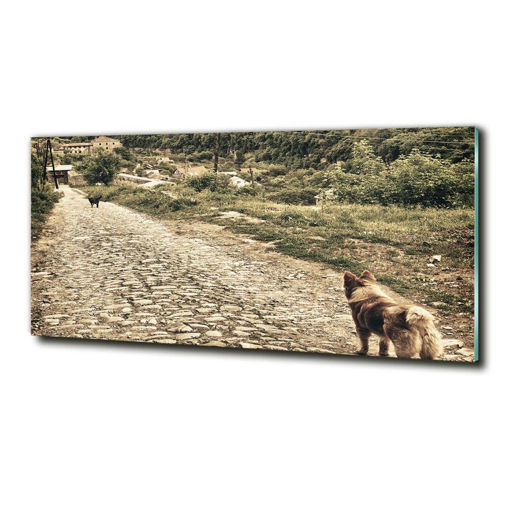 Foto-obraz szklany Dwa psy na wzgórzu