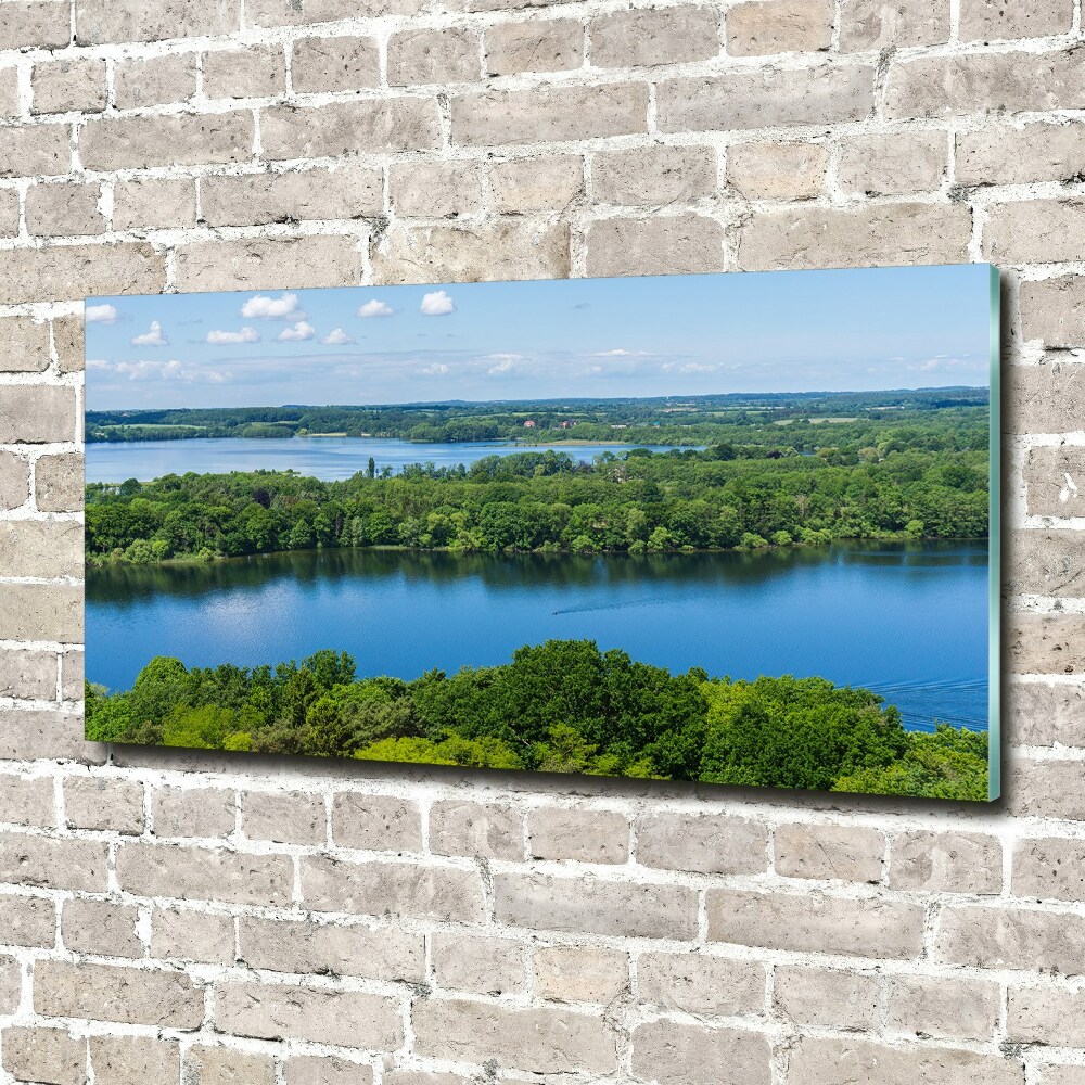 Foto obraz szklany Las nad jeziorem