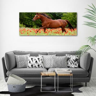 Foto-obraz szklany Koń na polu maków