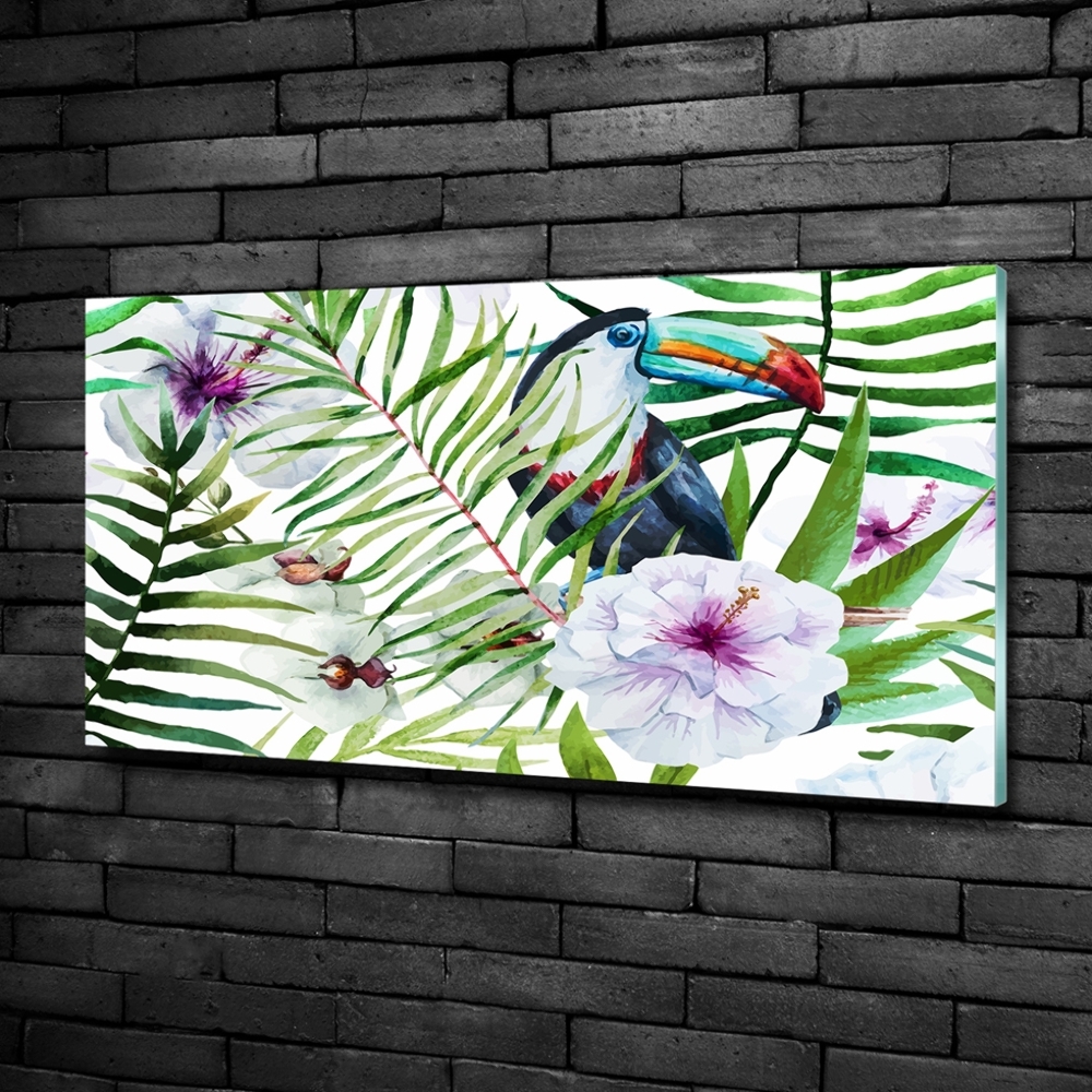 Foto-obraz szkło hartowane Tukan tropika