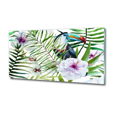 Foto-obraz szkło hartowane Tukan tropika
