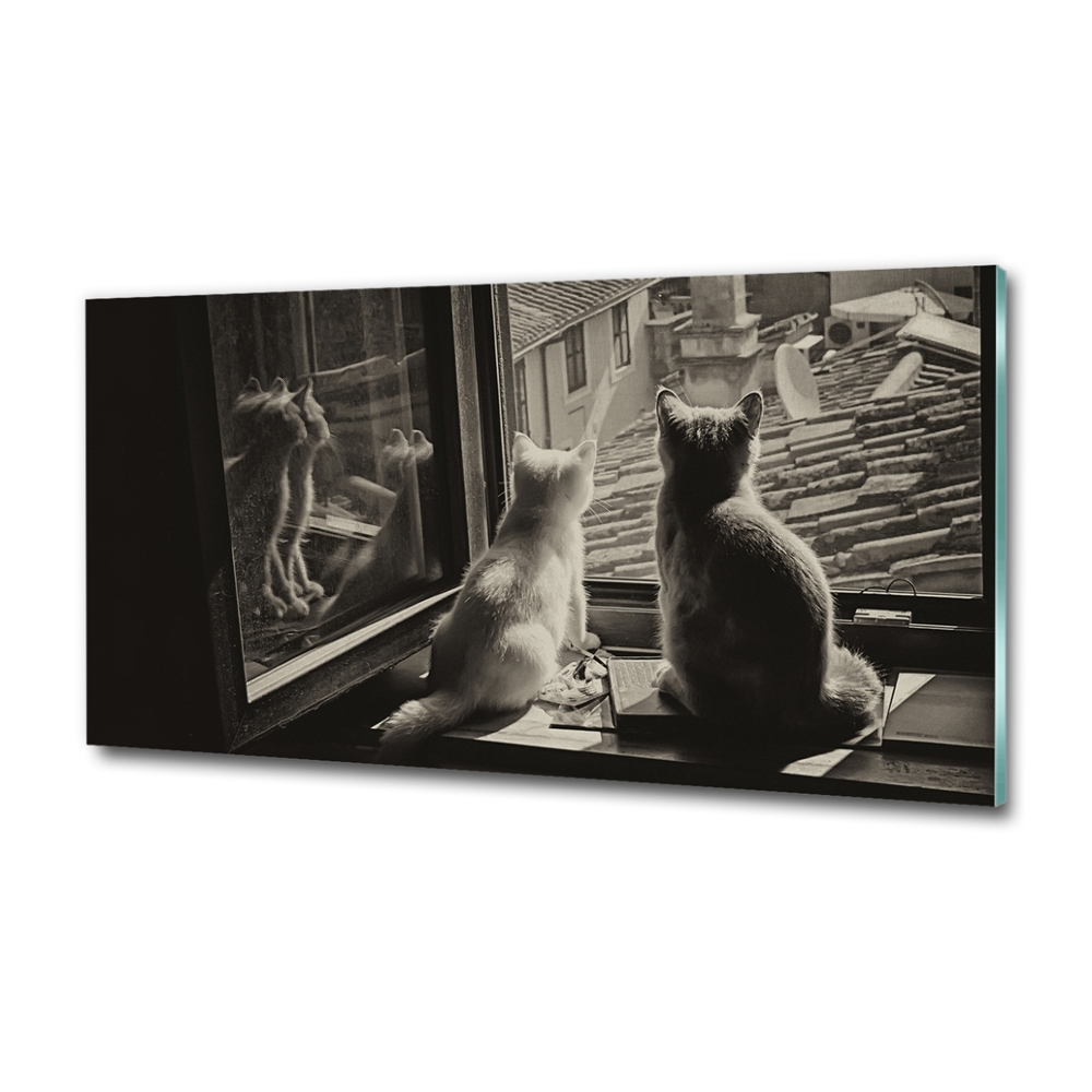 Fotoobraz na ścianę szklany Koty przy oknie