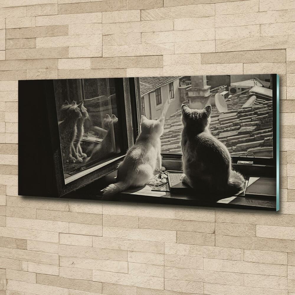 Fotoobraz na ścianę szklany Koty przy oknie