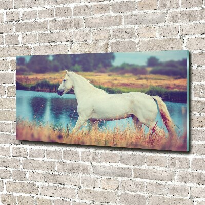 Foto-obraz szklany Biały koń jezioro