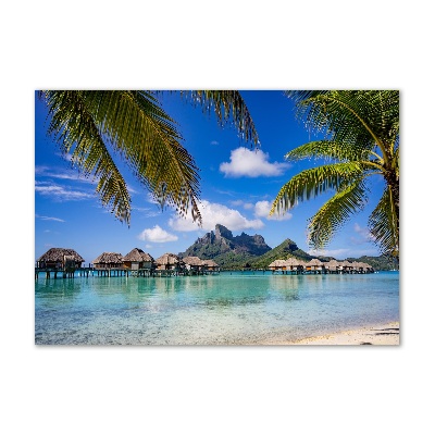 Foto obraz szklany Palmy na Bora Bora