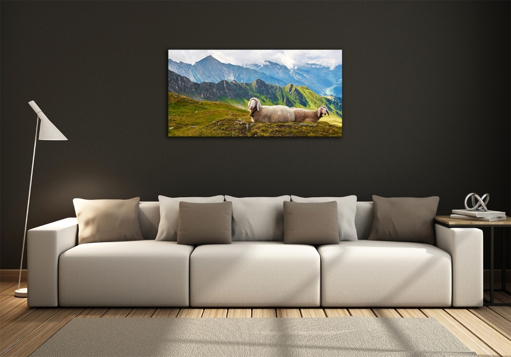 Foto obraz szkło hartowane Owce w Alpach