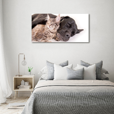 Foto-obraz szkło hartowane Pies z kotem
