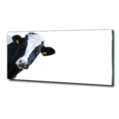 Foto-obraz zdjęcie szkło hartowane Krowa