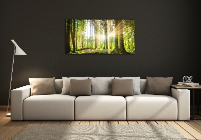 Foto obraz szkło hartowane Las w słońcu