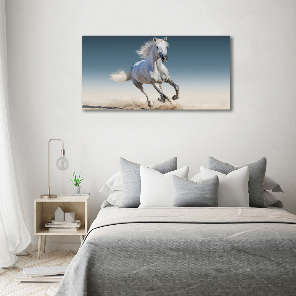 Foto-obraz szklany Biały koń w galopie