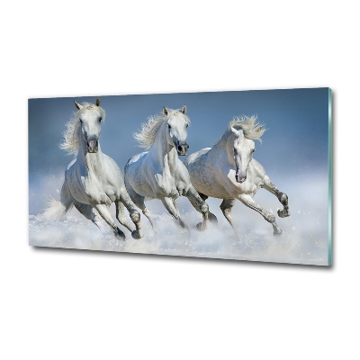 Fotoobraz na ścianę szklany Konie w galopie