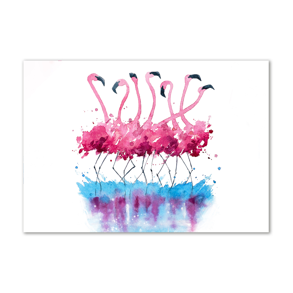 Foto obraz szkło hartowane Flamingi