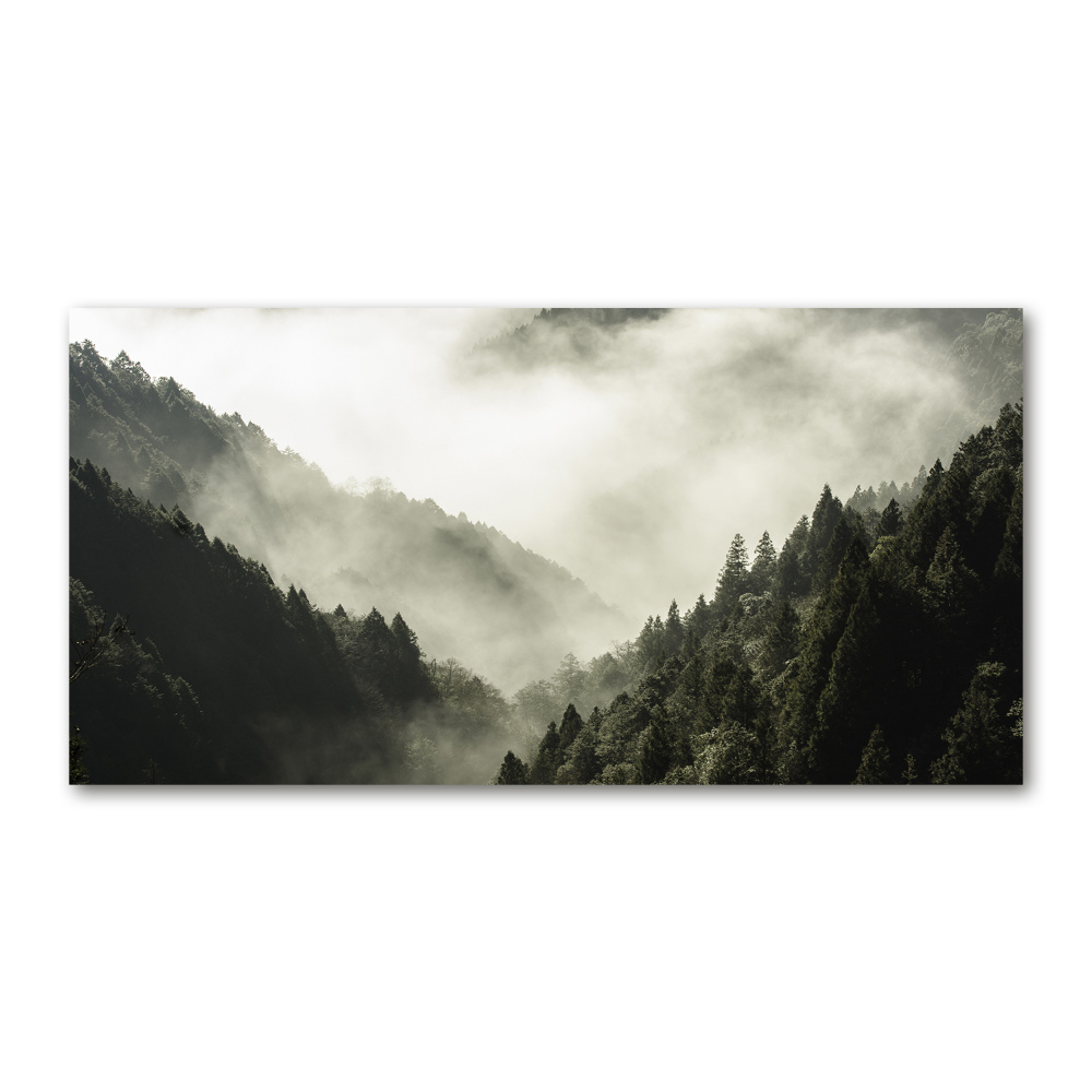 Foto obraz szkło hartowane Mgła nad lasem