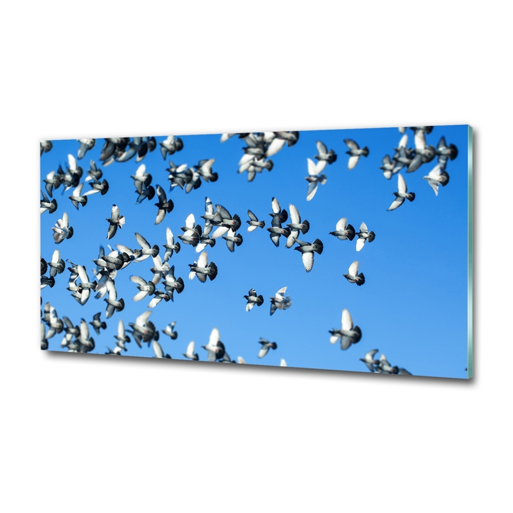 Foto-obraz szkło hartowane Stado gołębi