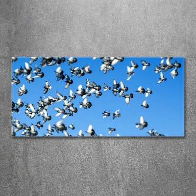 Foto-obraz szkło hartowane Stado gołębi