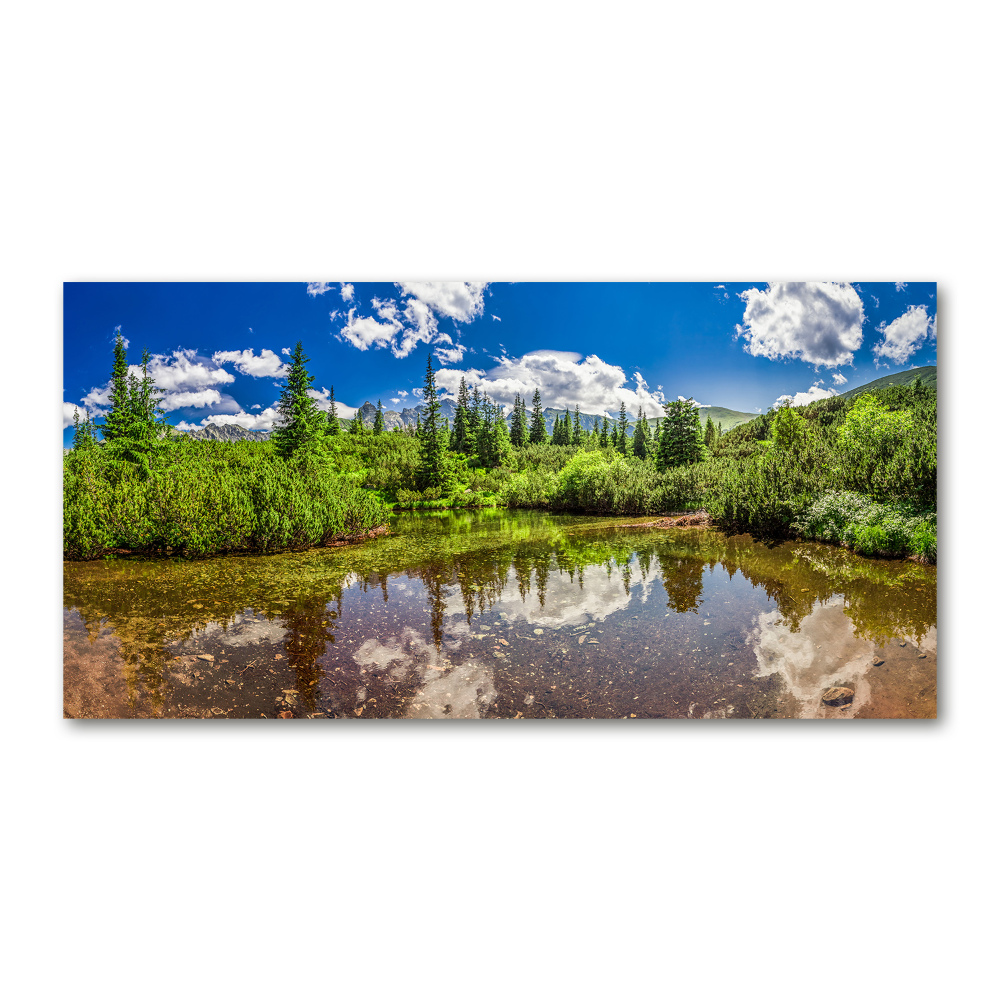 Fotoobraz na ścianę szklany Jezioro w lesie