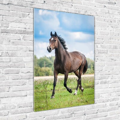 Foto obraz szkło hartowane pionowy Koń na polu