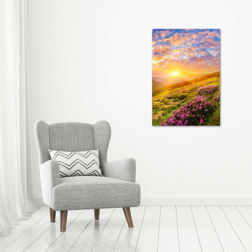 Foto obraz na szkle pionowy Zachód słońca góry