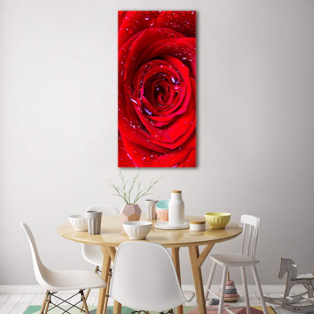 Foto obraz szkło hartowane pionowy Czerwona róża