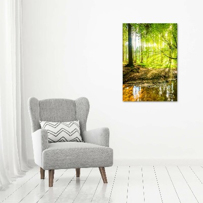 Foto obraz zdjęcie na szkle pionowy Słońce w lesie