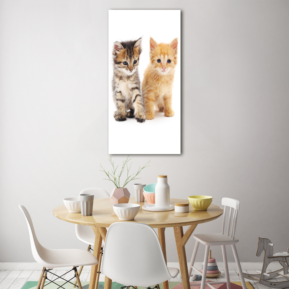 Foto-obraz szklany pionowy Szary i rudy kot