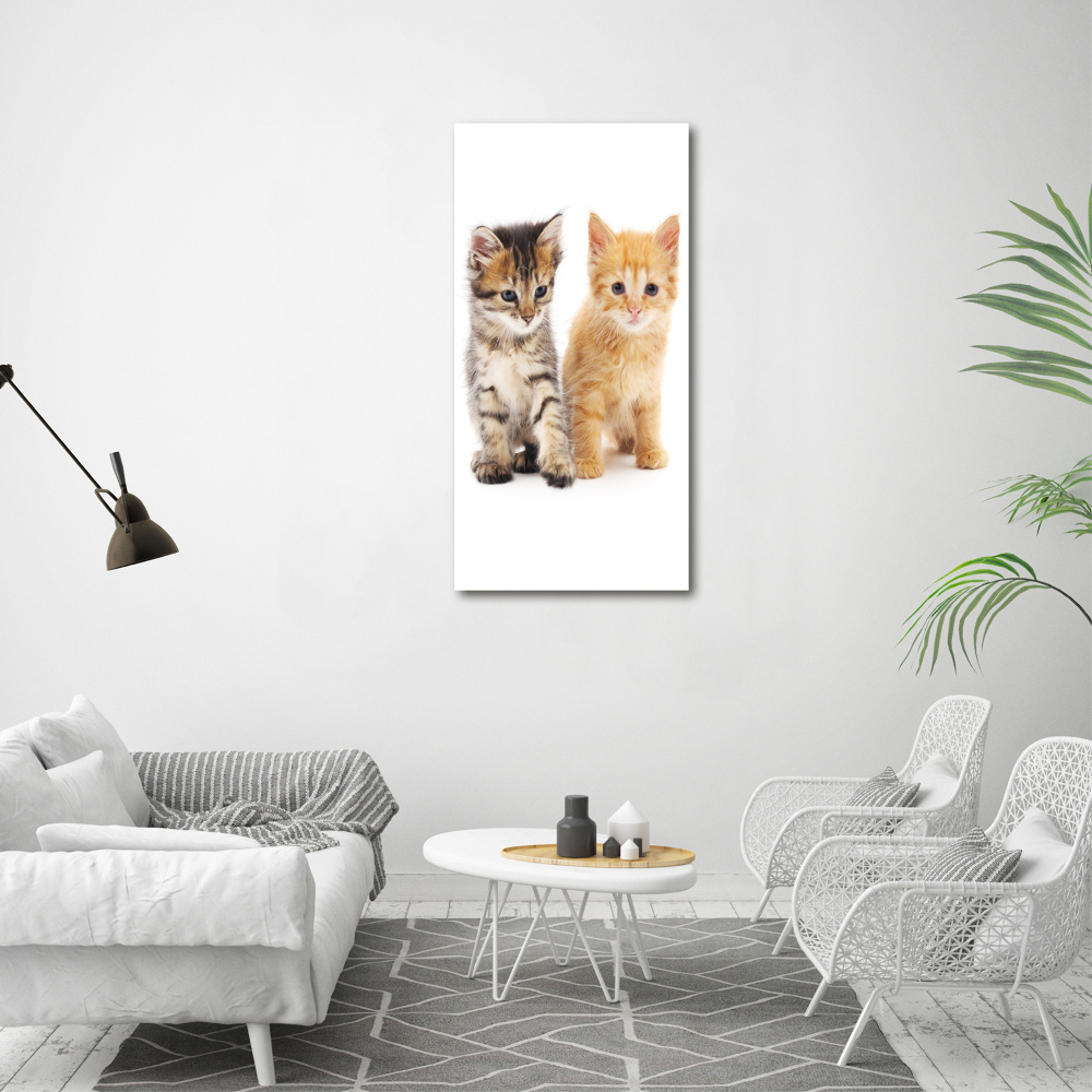 Foto-obraz szklany pionowy Szary i rudy kot
